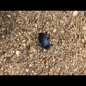 Meet your Posher, Lindsey